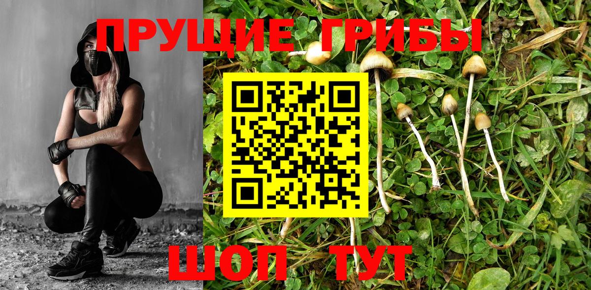 Галлюциногенные грибы ЛСД  Вход с VPN  Кудрово 