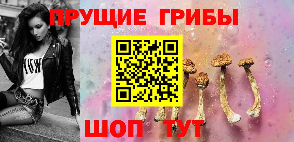 Галлюциногенные грибы MAGIC MUSHROOMS Кудрово
