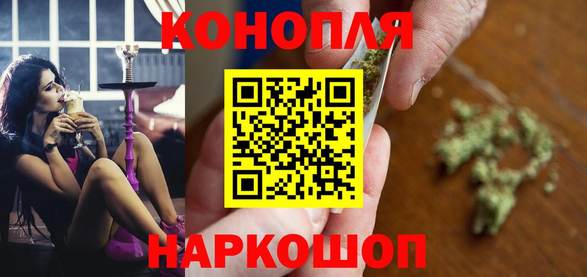 Каннабис план Кудрово